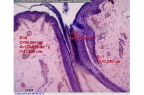 Цифровой портативный микроскоп с высокой кратностью увеличения Dino-Lite High Magnification AM4515T5 -EDGE